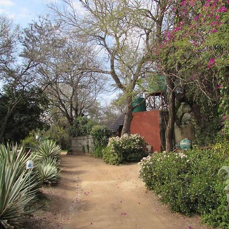 הודספרויט Amanzimlotzi Riverside Bush Camp מראה חיצוני תמונה