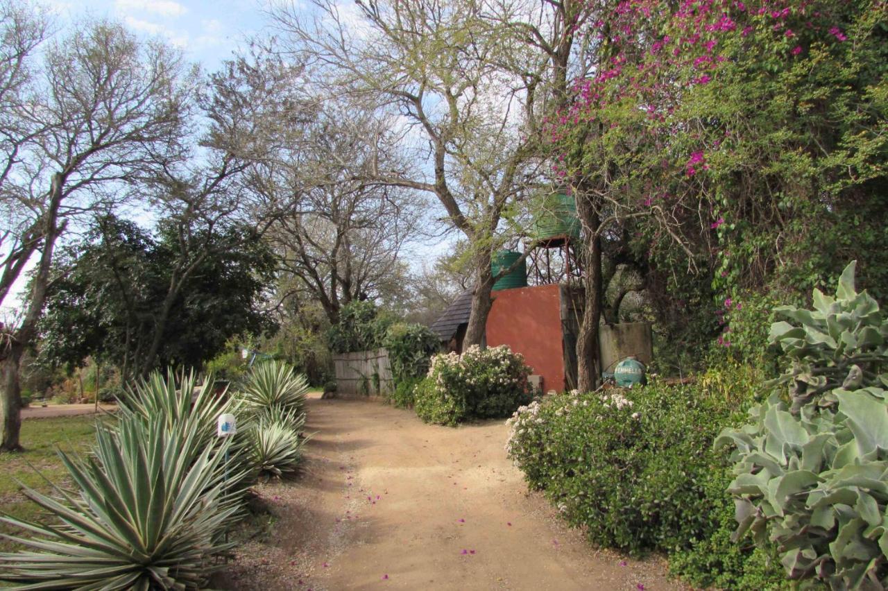 הודספרויט Amanzimlotzi Riverside Bush Camp מראה חיצוני תמונה