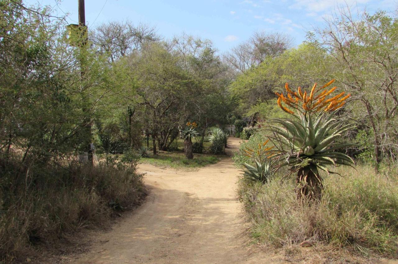 הודספרויט Amanzimlotzi Riverside Bush Camp מראה חיצוני תמונה