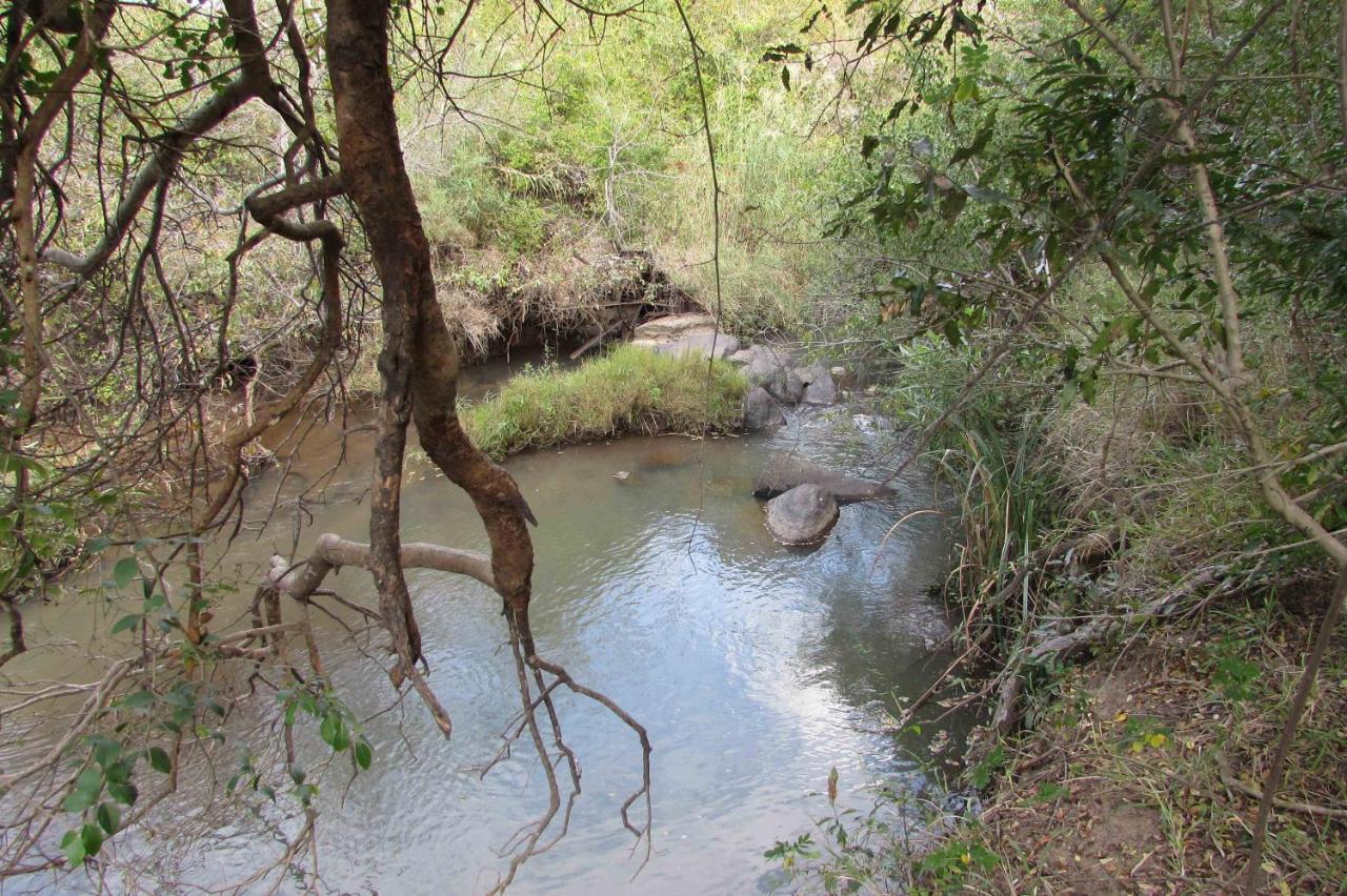 הודספרויט Amanzimlotzi Riverside Bush Camp מראה חיצוני תמונה