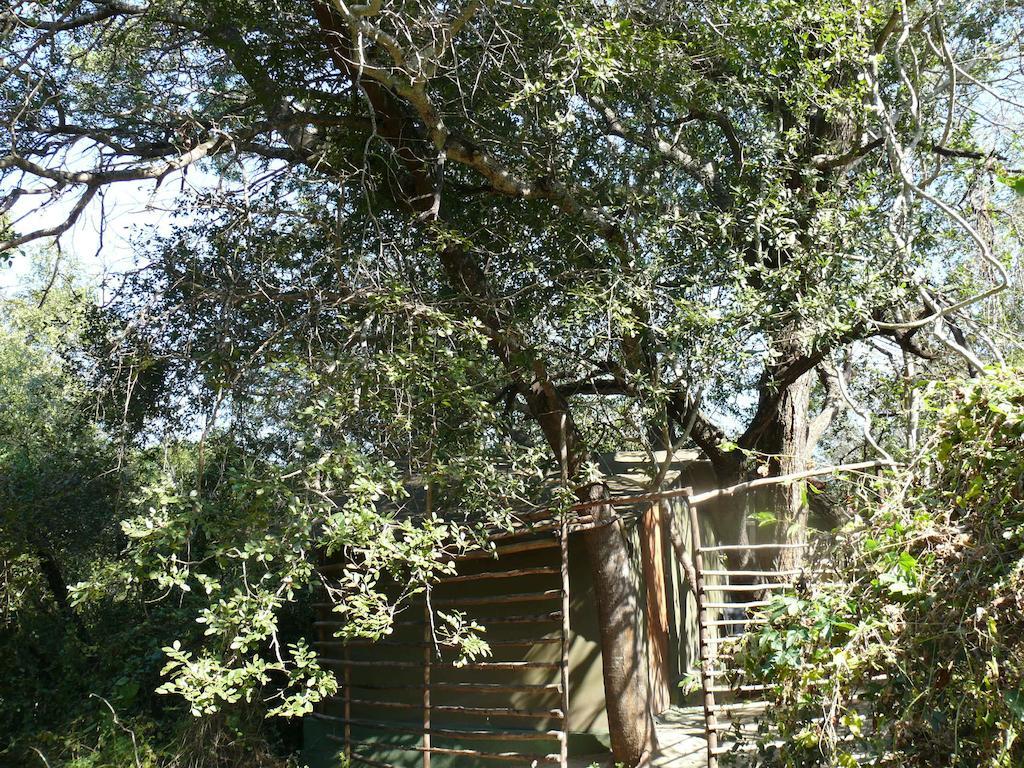 הודספרויט Amanzimlotzi Riverside Bush Camp חדר תמונה