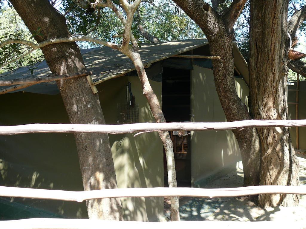 הודספרויט Amanzimlotzi Riverside Bush Camp חדר תמונה