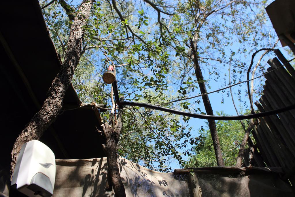 הודספרויט Amanzimlotzi Riverside Bush Camp מראה חיצוני תמונה