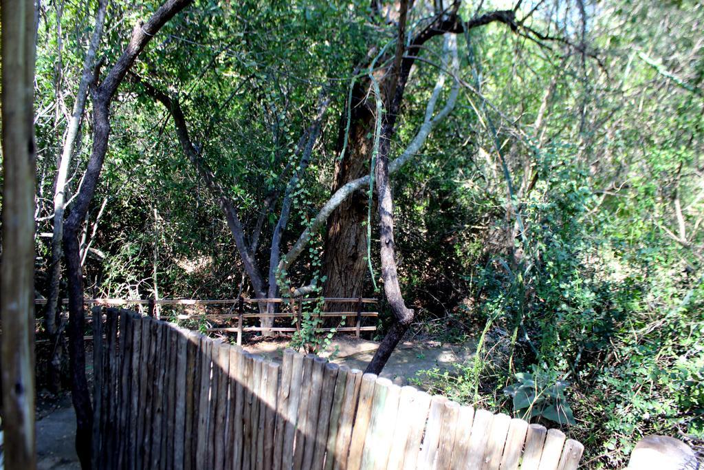 הודספרויט Amanzimlotzi Riverside Bush Camp מראה חיצוני תמונה