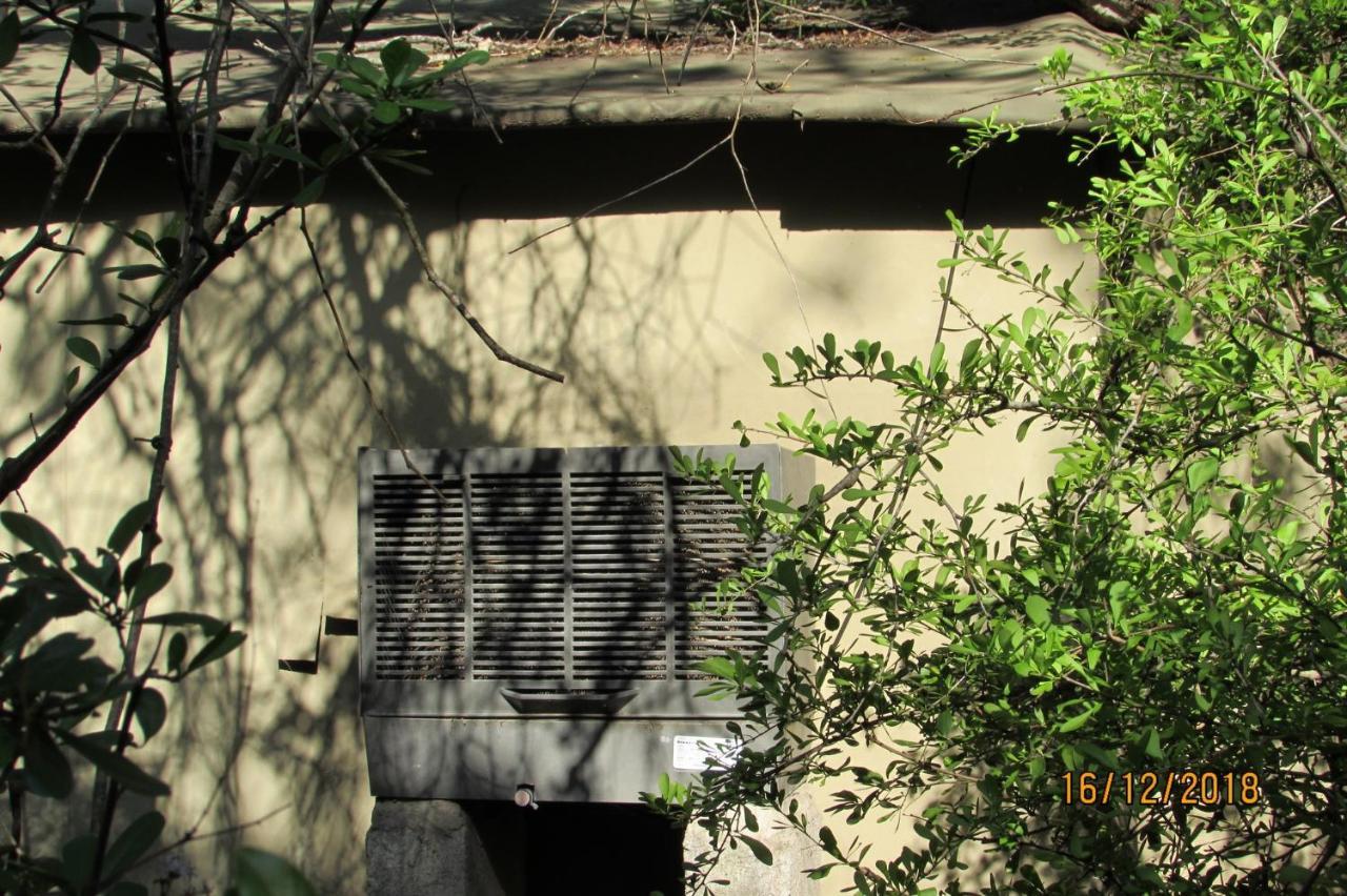 הודספרויט Amanzimlotzi Riverside Bush Camp מראה חיצוני תמונה