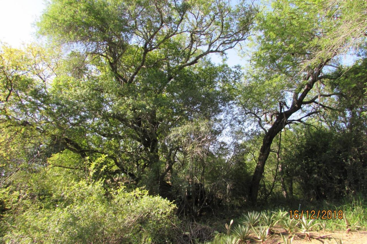 הודספרויט Amanzimlotzi Riverside Bush Camp מראה חיצוני תמונה