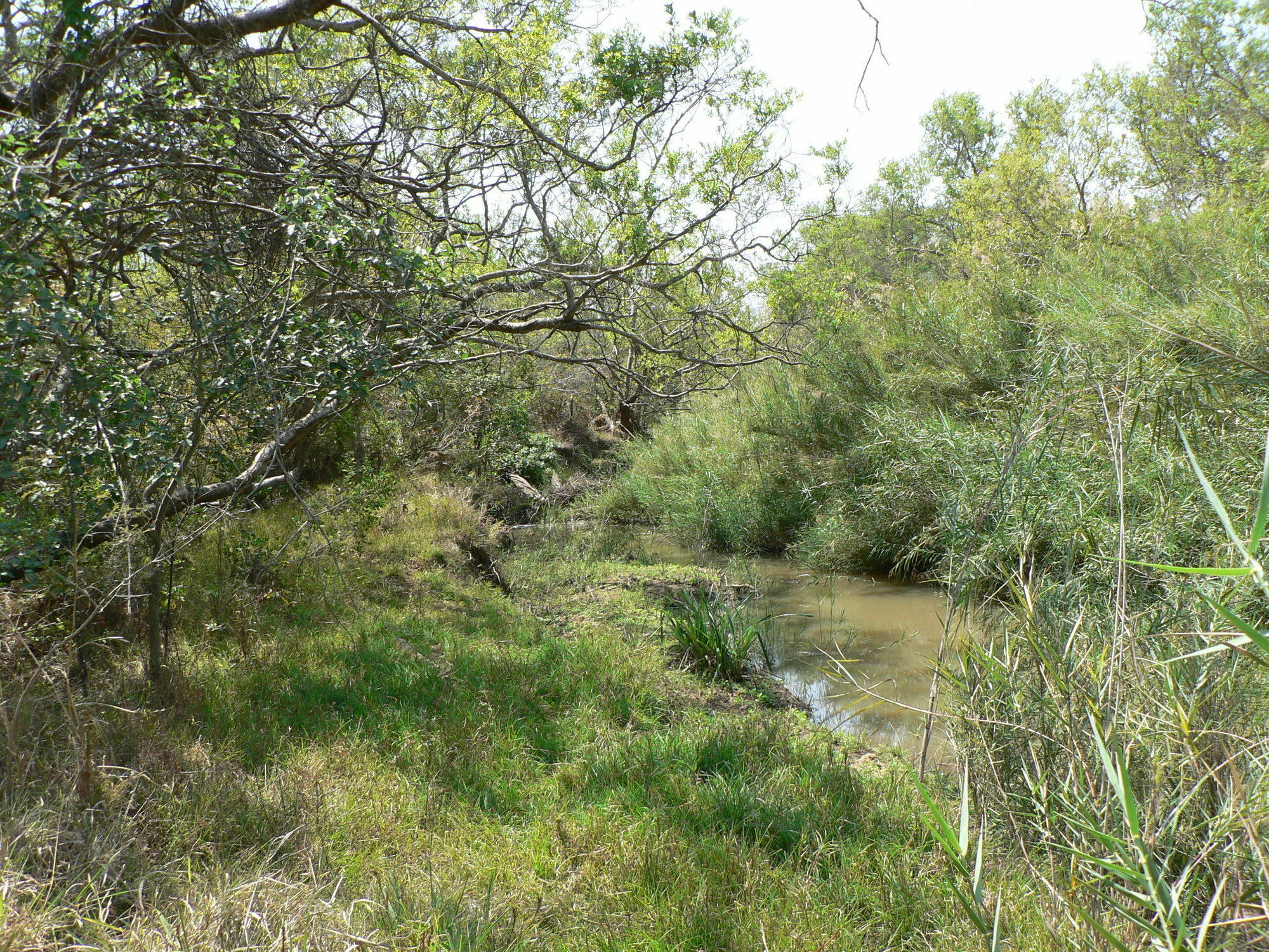 הודספרויט Amanzimlotzi Riverside Bush Camp מראה חיצוני תמונה
